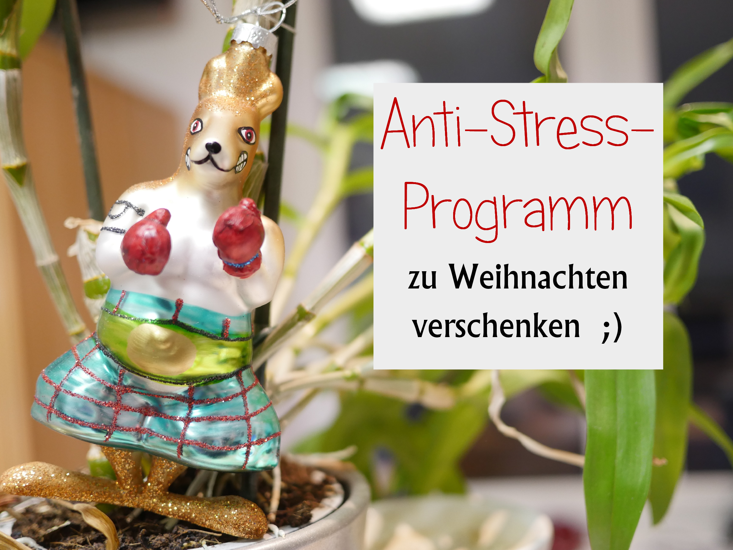 Verschenk‘ ein „Anti-Stress-Programm“ zu Weihnachten!